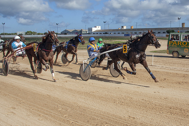 Carreras Cavalls 11-11-18