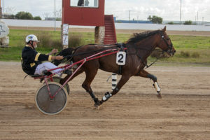 Carreras Cavalls 11-11-18