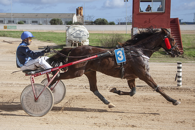 Carreras Cavalls 11-11-18