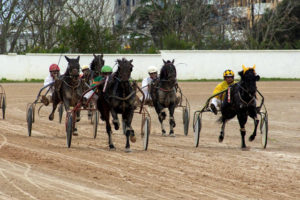 Carreras Trot 4 NovCO_