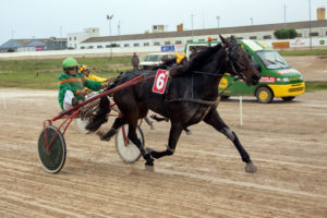 Carreras Trot 4 NovCO_