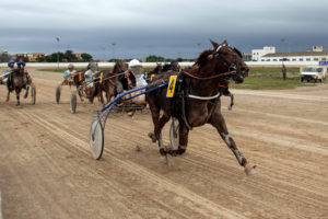 Carreras Trot 4 NovCO_