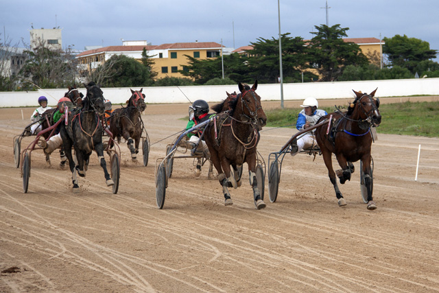 Carreras Trot 4 NovCO_