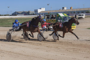 Carreras caballos_mao