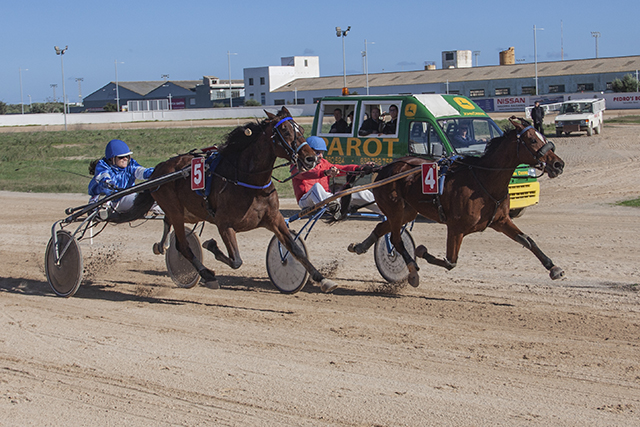 Carreras caballos_mao