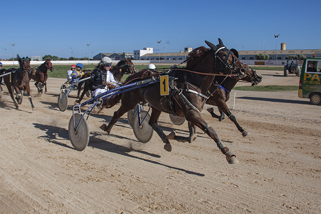 Carreras caballos_mao