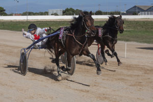 Carreras caballos_mao