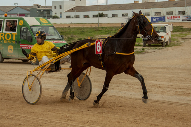 HIPODROM DE MAO 18-11-2018