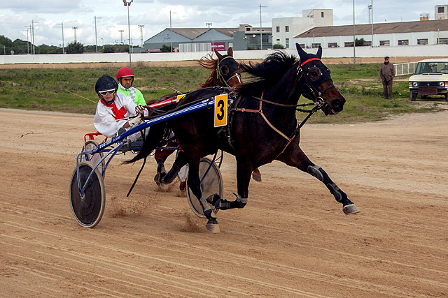 HIPODROM DE MAO 18-11-2018