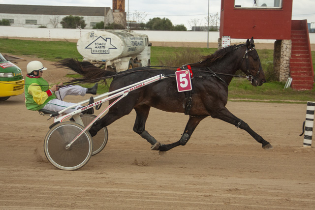 HIPODROM DE MAO 18-11-2018
