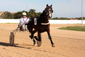 Carreras Trot_mao