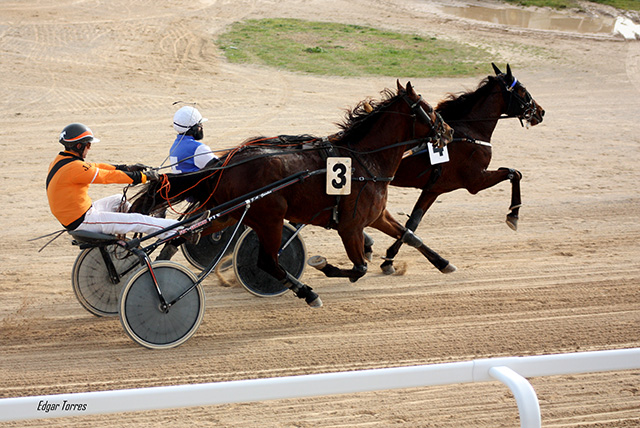 Carreras caballos mao