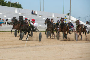 Carreras caballos mao