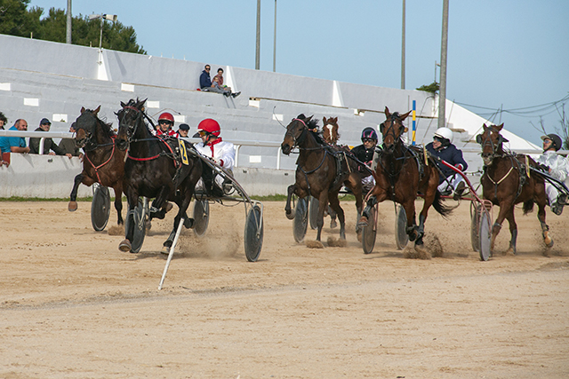 Carreras caballos mao