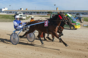 Carreras caballos mao