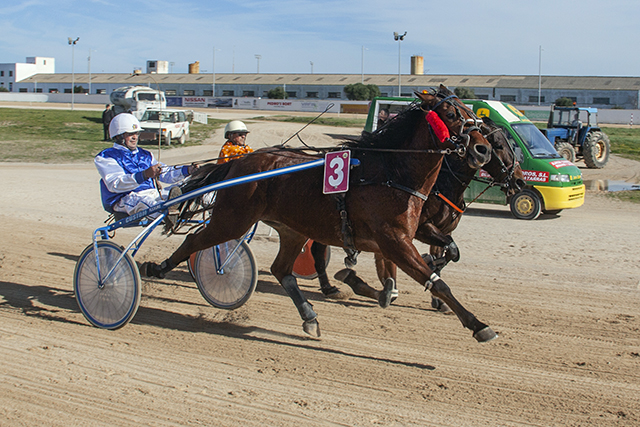 Carreras caballos mao