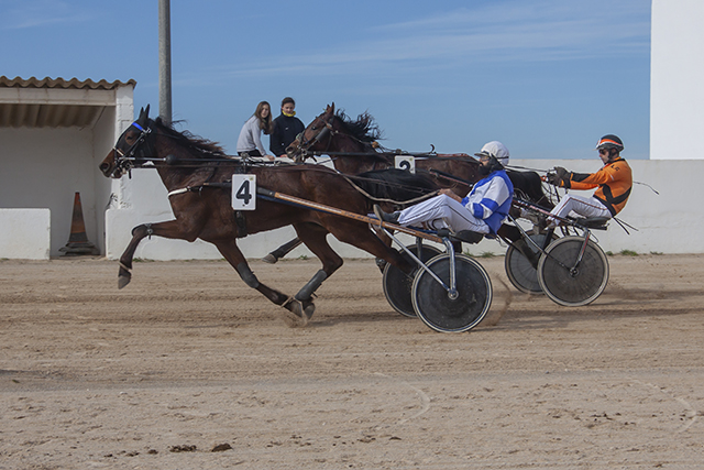 Carreras caballos mao