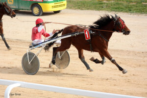 Carreras caballos mao