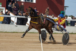 FOTOS HIPODROM DE MAO 13-01-2019mao