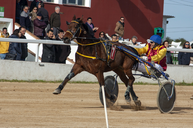FOTOS HIPODROM DE MAO 13-01-2019mao