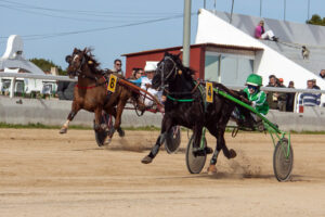 FOTOS HIPODROM DE MAO 13-01-2019mao