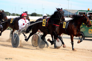 Carreras caballos mao