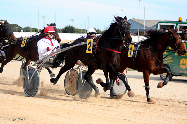 Carreras caballos mao