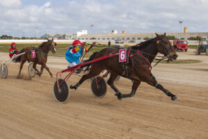 Carreras Trot mao