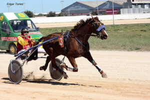 Appo de Parne - D. Bosch 17.3.19