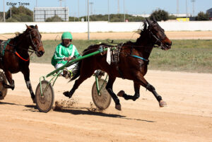 Dalia de Font - G. Pons 17.3.19