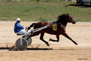 Ela Llinaritx - S. Olives 17.Mar.19