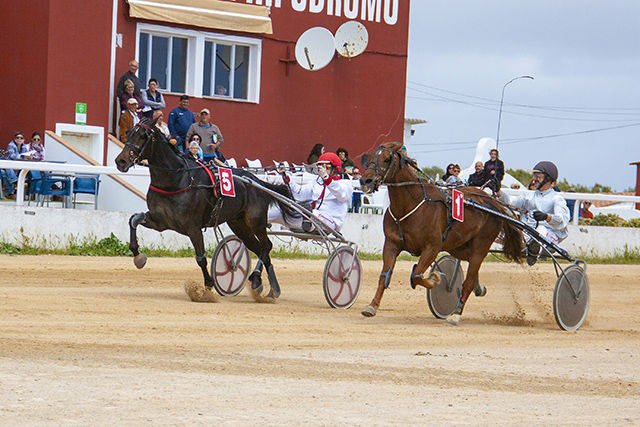 Carreras caballos mao 28-04-19
