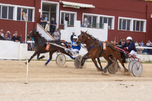 Carreras caballos mao 28-04-19