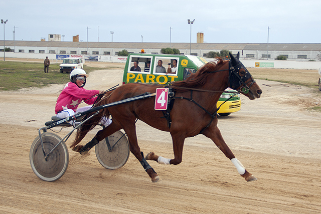 Carreras caballos mao 28-04-19