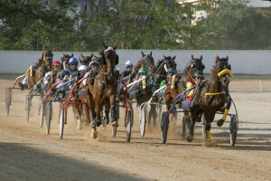 Carreras caballos_mao
