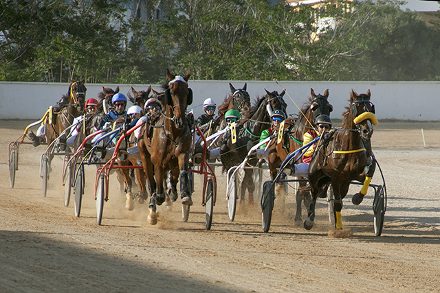 Carreras caballos_mao