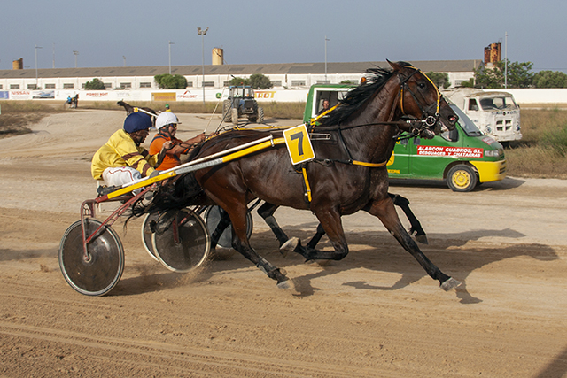 Carreras Trot mao-3 Fantasia de Biniati