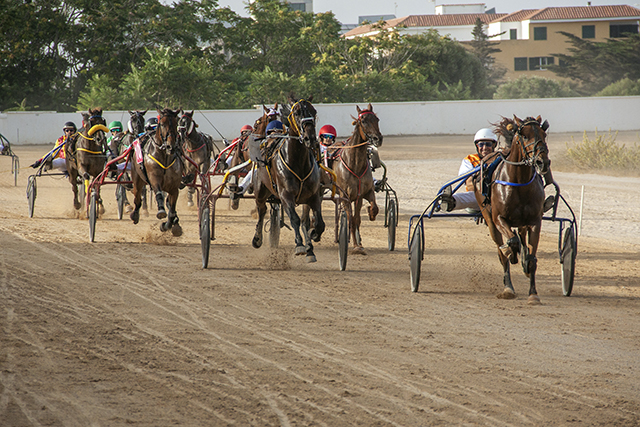 Carreras Trot mao-4 Llegada Vif Ocean