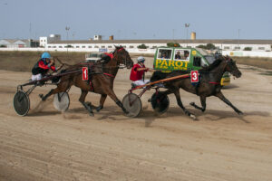 Carreras Trot_mao 3 -- Belle de Jove i Brot de Lluna