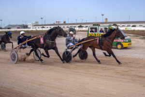 Carreras Trot_mao 6 -- Unica de Torrella i Vent de Thoury