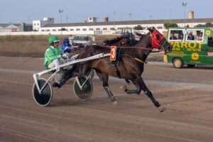 Carreras Trot_mao 9 -- Dalia de Font