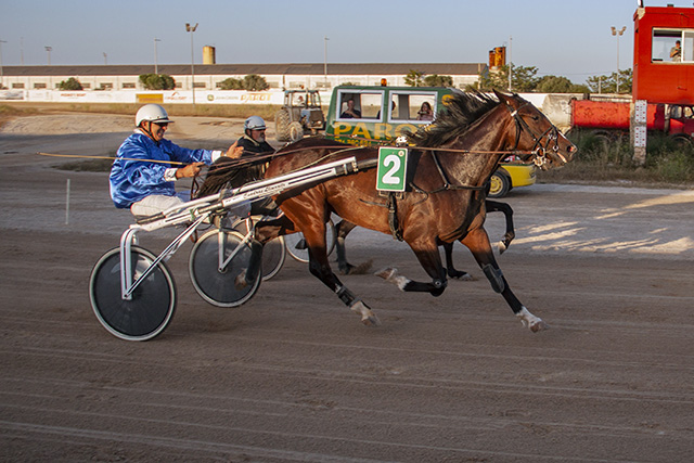 Carreras caballos mao 28-06-19 mao