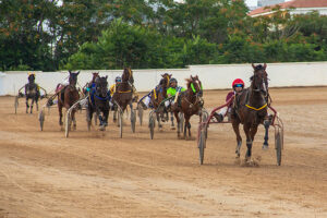 Carreras caballos mao