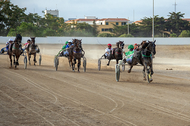 Carreras Trot 10-08-19 mao