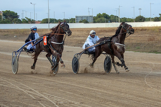 Carreras Trot 10-08-19 mao