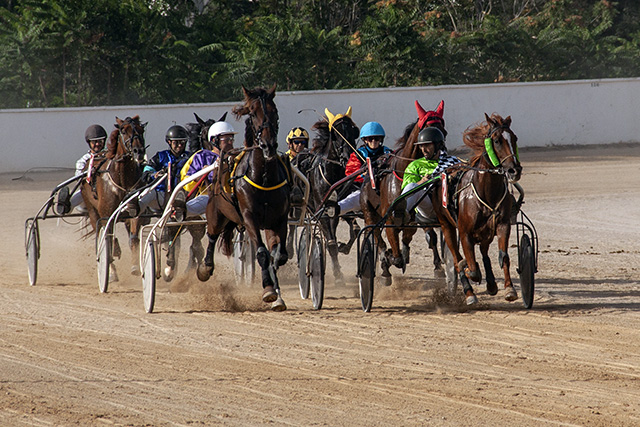 Carreras Trot 10-08-19 mao