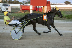 Carreras Trot-Hipódromo Mo