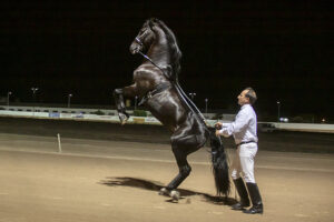 Carreras nocturnas-2019