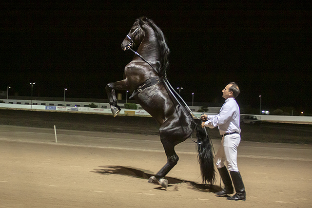 Carreras nocturnas-2019