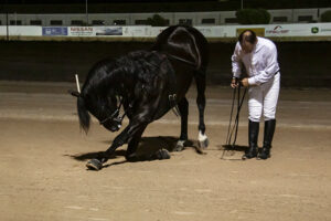Carreras nocturnas-2019